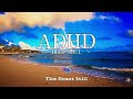 【ADHD】The 40-Minute Protocol: High-Density Neural Feedback Loops for Deep Focus & Flow