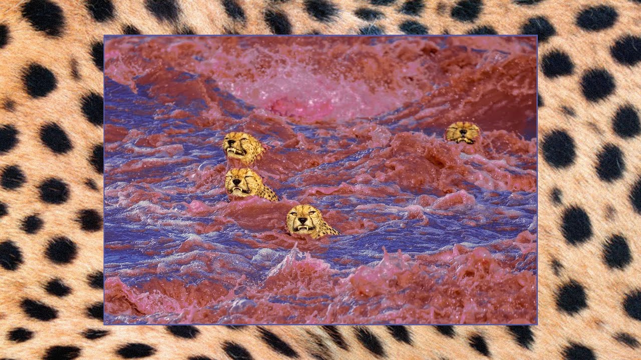 chem - Cheetah (prod. Rob Goodknight)