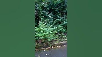 Overthereality OVR MAP2EARN merge.islamic.membrane