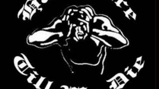 Never Stop Speedcore