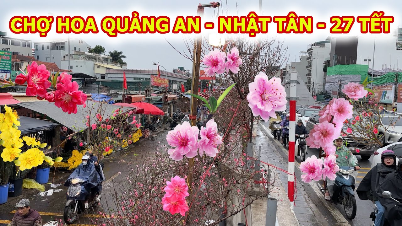 CHỢ HOA QUẢNG AN NHẬT TÂN HỒ TÂY NGÀY MƯA LẠNH 27 TẾT