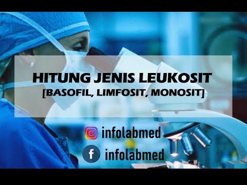 HITUNG JENIS LEUKOSIT PART 2 [BASOFIL, LIMFOSIT & MONOSIT]