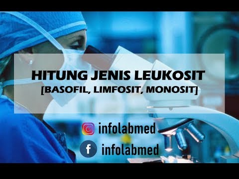 Video: Hubungan Rasio Neutrofil-limfosit Dan Rasio Limfosit-monosit Dengan Hasil Klinis 3 Bulan Setelah Trombektomi Mekanik Setelah Stroke