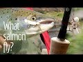 Atlantic salmon fly   salmon fishing norway