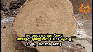 200 வருசத்துக்கு மேல வளர்ந்த ஒரிஜினல் பர்மா தேக்கு || 2 அடி பலகை வரை || மொத்தம் ,சில்லறை  வியாபாரம்