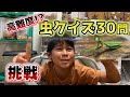 【検証】小学4年生の昆虫博士は難問を全て正解できるのか