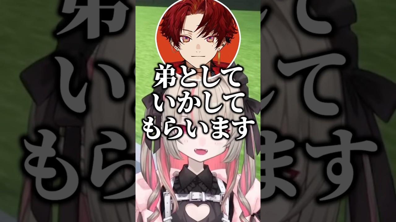 柊ツルギを弟として認定する魔界ノりりむ【切り抜き にじさんじ】#魔界ノりりむ #柊ツルギ #VCRマイクラ