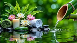 Download Lagu Relaxing Music to Relieve Stress, Anxiety \u0026 Depression 🌿 Healing Sleep for Mind \u0026 Body #3 MP3 Download Lagu Relaxing Music to Relieve Stress, Anxiety \u0026 Depression 🌿 Healing Sleep for Mind \u0026 Body #3 MP3