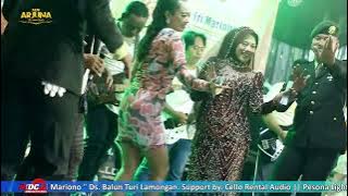SATU RASA CINTA - BRODIN FT RENA MOVIES NEW ARJUNA