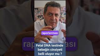 Fetal Dna Nipt Testinde Bebeğin Cindiyetini Öğrenebilir Miyiz? Ülkemizdeki Durum Nedir?