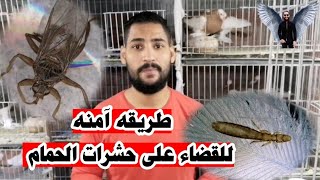 القضاء علي حشرات الحمام والطيور بطريقه آمنه وسهله من ابومريم التونسي