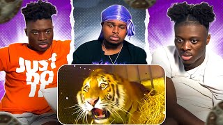 Animals Being FREED For The First Time REACTION!