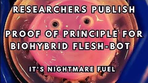Researchers Publish Proof of Principle for Nightmare Flesh-Robot