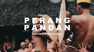 PERANG PANDAN DESA TENGANAN - BALI || TRADISI MEKARE - KARE