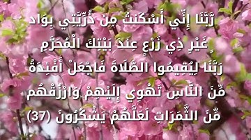 تلاوة من سورة ابراهيم..الشيخ عبدالقادر أبو حروب
