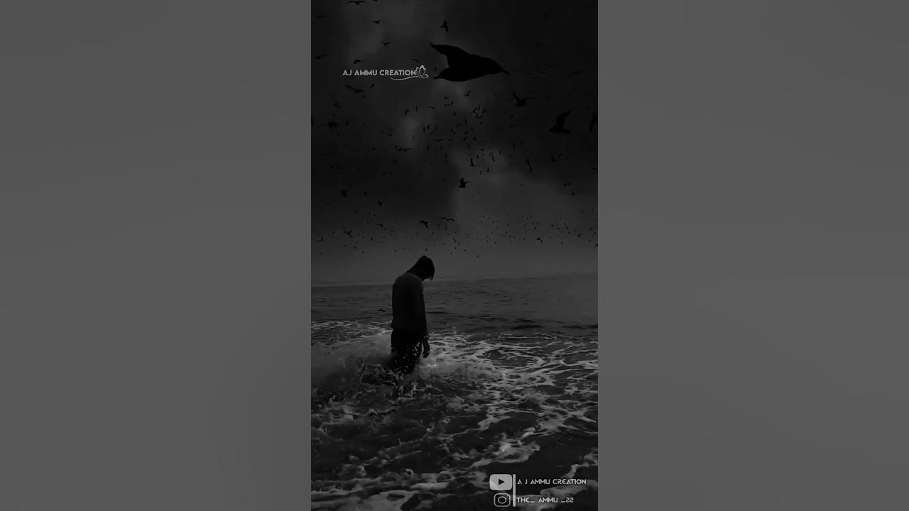 Alone What s App Stats Alone Is Better Than Relationship alone-what-s-app-stats-alone-is-better-than-relationship