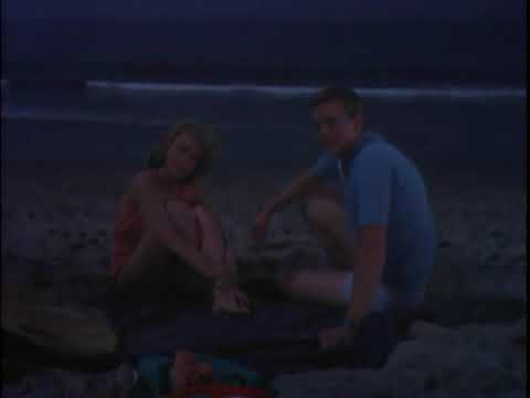 The Beach Boys - Lonely Sea (1965)