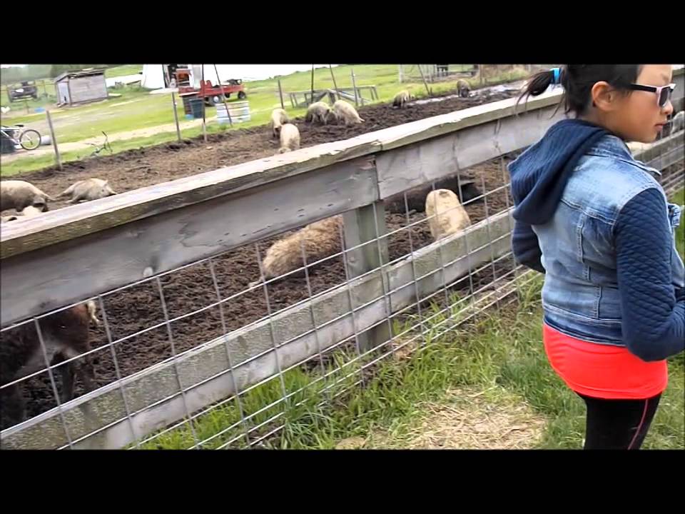 Trip to Bakers Green Acres May 2015 YouTube