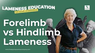 Forelimb vs Hindlimb Lameness: How to Tell the Difference