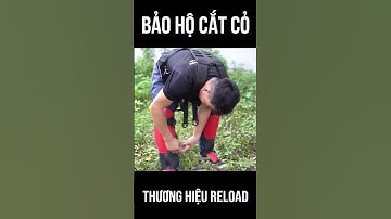 Đồ Bảo Hộ Sử Dụng Với Máy Cắt Cỏ An Toàn Hiệu Quả Hạn Chế Rủi Ro Tai Nạn