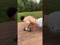Build A Massive Chest With ONLY Push Ups Build A Massive Chest With ONLY Push Ups