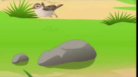 Std 3  EVS Ls.1 Our Environment