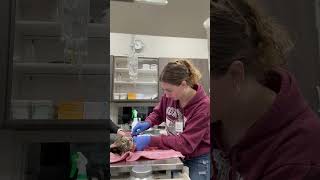 Penn Foster Externship 2 Skill 24