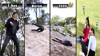 How Animals Roll Down A Hill (Part 1-2) (Comedy Compilation)
