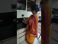 Alloooo k Parathe by Moma.#shorts#shortsviral #cooking #food #recipe #shortsfeed