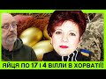 🤬КВОЧКА НА ЗОЛОТИХ ЯЙЦЯХ!ТЕТЯНА ГЛИНЯНА КРАЛА В ЗСУ І КУПИЛА 4 ГОТЕЛІ В ХОРВАТІЇ І ДО ЧОГО РЕЗНІКОВ