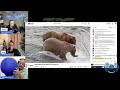 TDC Podcast