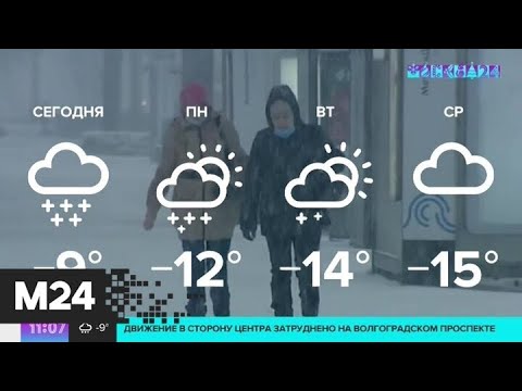 Самая холодная за всю зиму погода ожидается в Москве на следующей неделе - Москва 24
