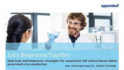 Seed train and bioprocess strategies for suspension cell culture based adeno associated virus...