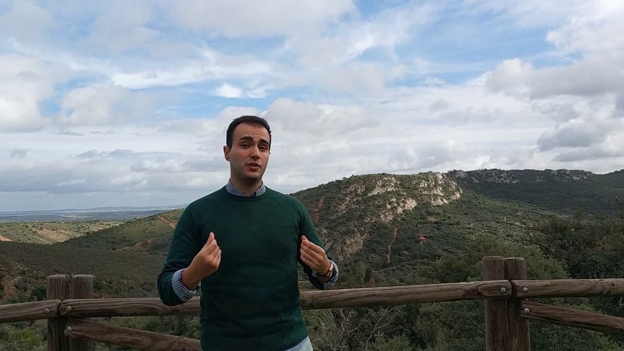 Aportación de mi TFG al sector 