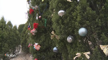 Local group needs your help to clean up decorations on Loop 360 trees