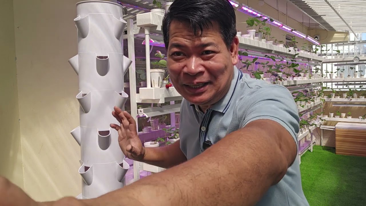 Indoor Vertical Hydroponics Tower