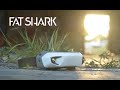 Introducing the fat shark dominator