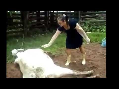 Корова лягнула в лицо, ибо НЕХЕР!))))