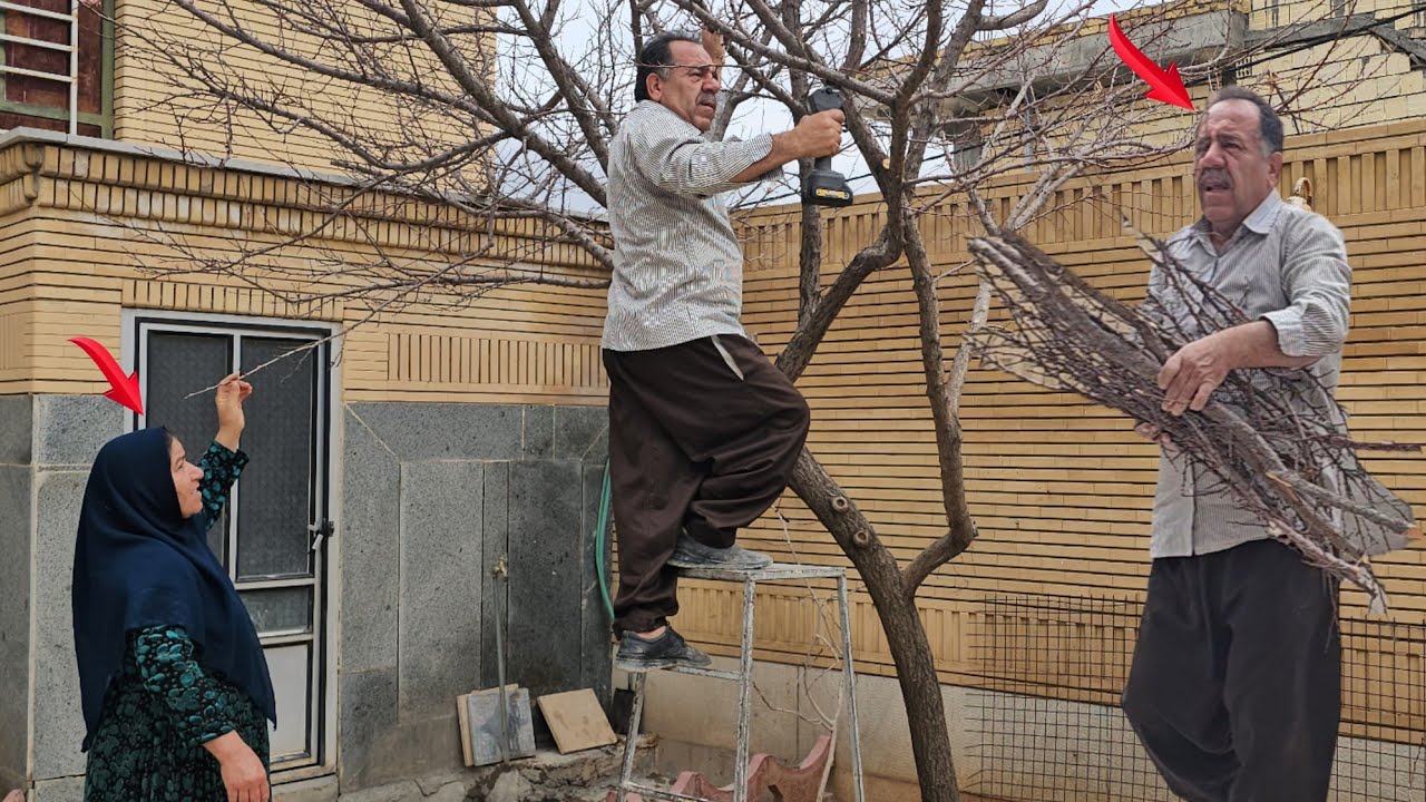 Greed of Trees: The Love and Solidarity of an Engineer and His Wife