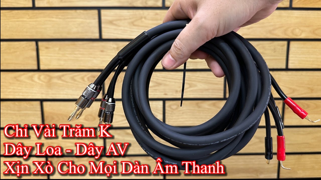Dây loa Belden Mỹ - Dây AV Proel Ý - Chỉ vài trăm K cho mọi dàn âm thanh