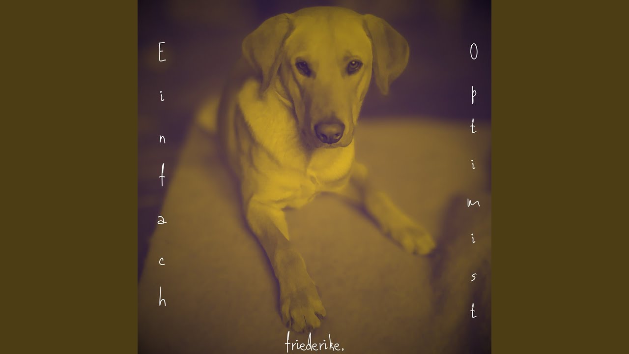 Watch Einfach Optimist on YouTube Watch Einfach Optimist on YouTube