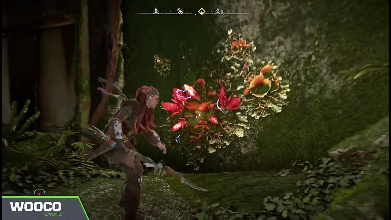 Horizon Forbidden West Insel Der Türme Code Horizon Forbidden West - Insel der Türme | Reliktruine Lösung - YouTube