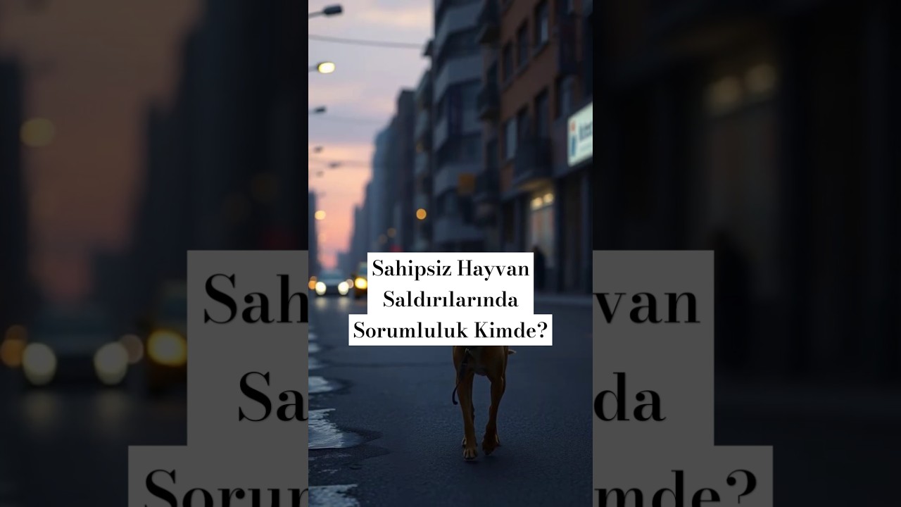 Sahipsiz Hayvan Saldırılarında Sorumluluk Kimde?