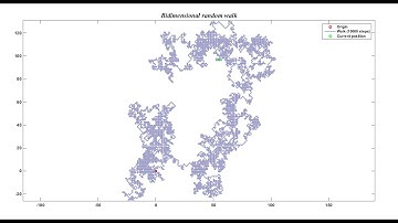 Monte-Carlo simulation: bidimensional random walk