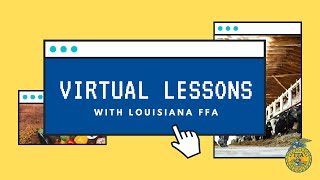 Celebrity Virtual Lessons: Internal and External Small Engines Components Net Worth