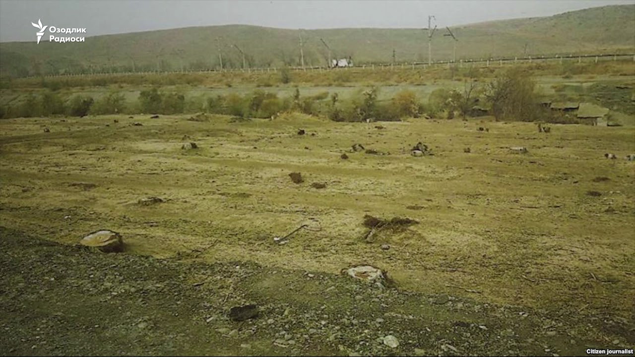 Дарахт кесиш анъанаси: 