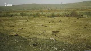 Дарахт кесиш анъанаси: 