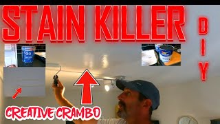 STAIN KILLER BULLS EYE 1.2.3 HOW TO GET RID OF WATER STAINS AND MORE UK ZINSSERBULLSEYE123 DIY