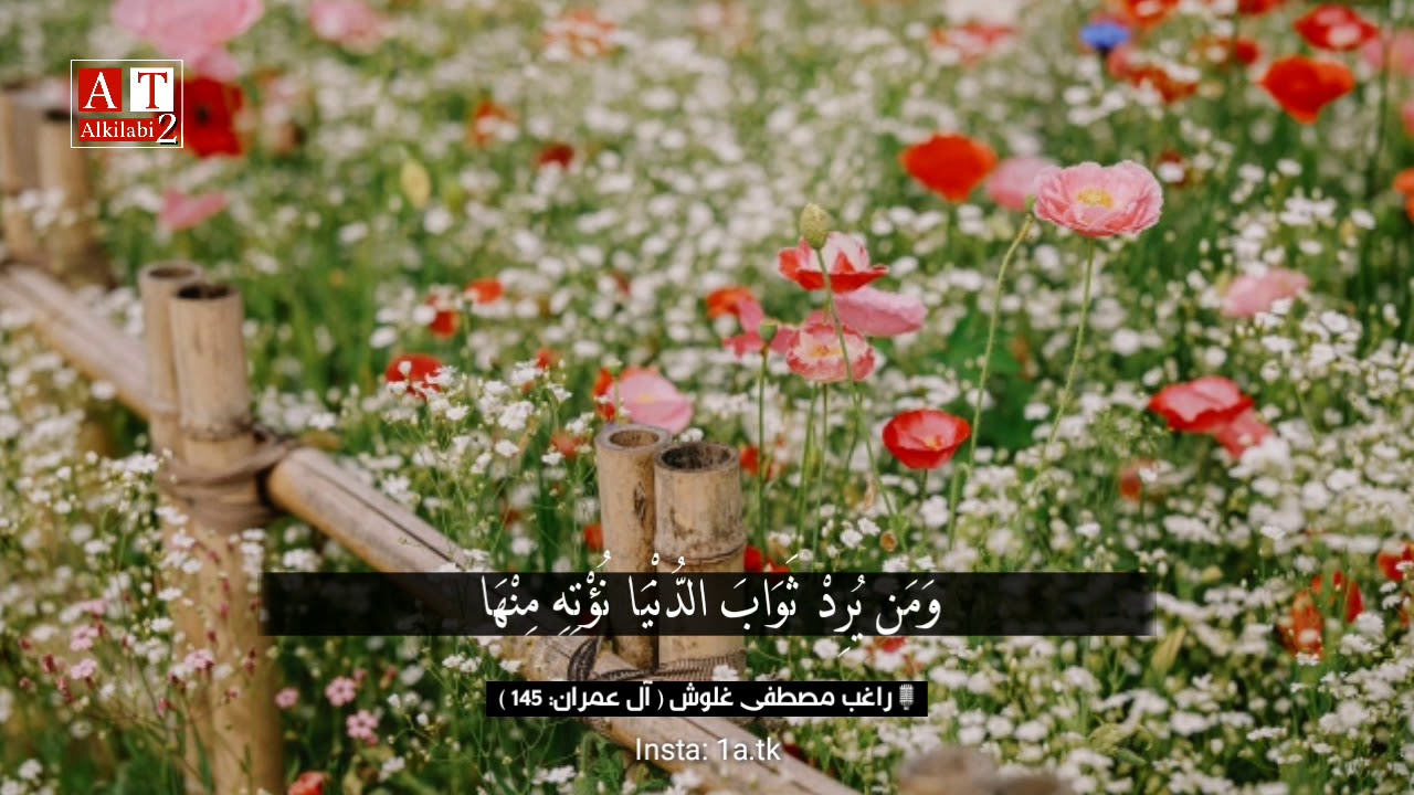 وَمَن يُرِدْ ثَوَابَ الدُّنْيَا نُؤْتِهِ مِنْهَا .. || الشيخ راغب مصطفى غلوش رحمه الله