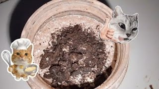 The Best Way to Create a Creamy Oreo Milkshake at Home!